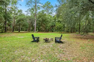 15888 NE 152 Ave, Fort Mc Coy, FL 32134 - Photo 7