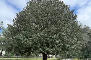 1328 NE 36th St, Ocala, FL 34479 - Photo 27