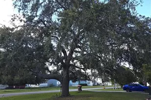 12667 SE 101st Ct, Belleview, FL 34420 - Photo 3