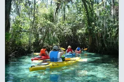 2344 N Andrea Point, Lecanto, FL 34461 - Photo 59