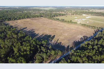 14231 SE 80th Street, Morriston, FL 32668 - Photo 3