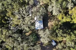 8735 Cr 631A, Bushnell, FL 33513 - Photo 9