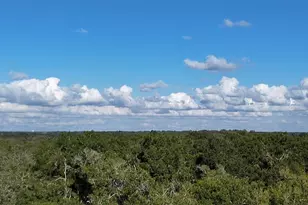 8735 Cr 631A, Bushnell, FL 33513 - Photo 15