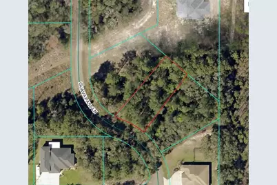 19 Guava Pass Lane, Ocklawaha, FL 32179 - Photo 3