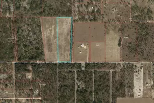 Tbd SE 80th St, Morriston, FL 32668 - Photo 1