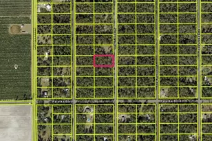 10545 Gregory Ave, Hastings, FL 32145 - Photo 1