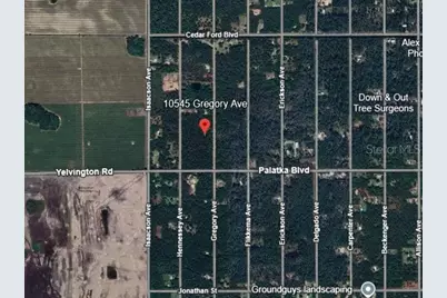 10545 Gregory Avenue, Hastings, FL 32145 - Photo 3