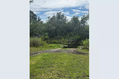 15080 NE 242nd Avenue, Salt Springs, FL 32134 - Photo 3