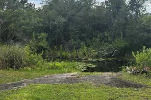 15080 NE 242nd Ave, Salt Springs, FL 32134 - Photo 3