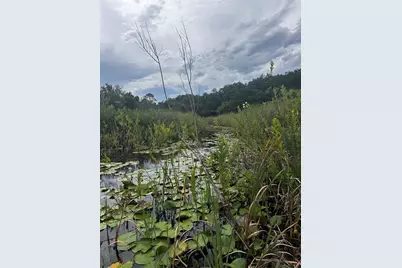 15080 NE 242nd Avenue, Salt Springs, FL 32134 - Photo 9