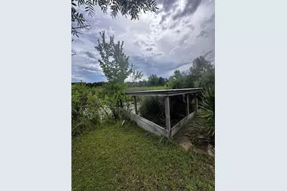 15080 NE 242nd Avenue, Salt Springs, FL 32134 - Photo 5