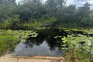 15080 NE 242nd Ave, Salt Springs, FL 32134 - Photo 3