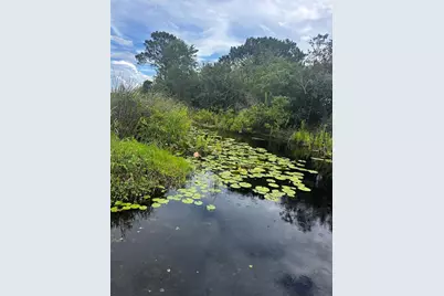 15080 NE 242nd Avenue, Salt Springs, FL 32134 - Photo 9