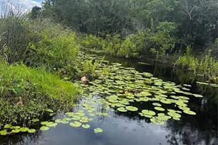 15080 NE 242nd Ave, Salt Springs, FL 32134 - Photo 9