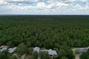 15225 NE 246 Ave, Salt Springs, FL 32134 - Photo 51