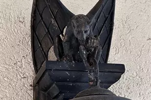 15225 NE 246 Ave, Salt Springs, FL 32134 - Photo 47