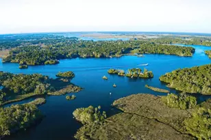 19439 SW 101st Place Rd, Dunnellon, FL 34432 - Photo 47