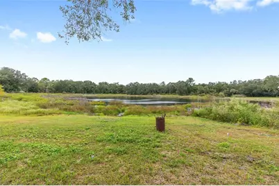 14642 NE 111th Terrace, Fort Mc Coy, FL 32134 - Photo 39