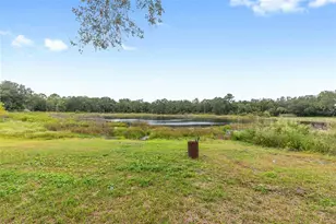 14642 NE 111 Terrace, Fort Mc Coy, FL 32134 - Photo 39