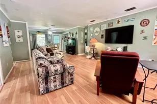 8780 SW 209th Ct Rd, Dunnellon, FL 34431 - Photo 3