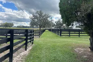 12943 County Rd 245 E, Oxford, FL 34484 - Photo 79