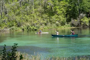 8519 SW 197th Court Rd, Dunnellon, FL 34432 - Photo 43