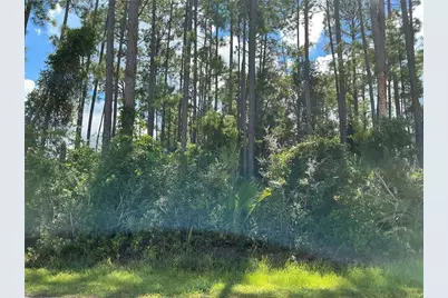 53 Fenwick Lane, Palm Coast, FL 32137 - Photo 1