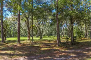 6570 NE 172 Ct, Williston, FL 32696 - Photo 79