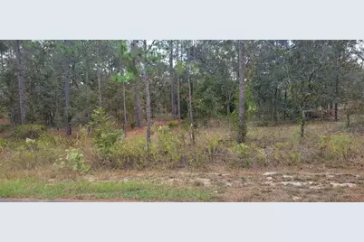 0 SW Arrow Leaf Trail, Dunnellon, FL 34431 - Photo 3