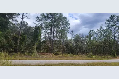 0 SW Arrow Leaf Trail, Dunnellon, FL 34431 - Photo 1