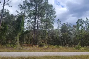 0 SW Arrow Leaf Trail, Dunnellon, FL 34431 - Photo 1
