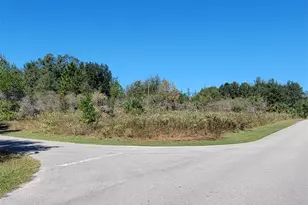 0 SW 82nd Pl, Dunnellon, FL 34431 - Photo 1