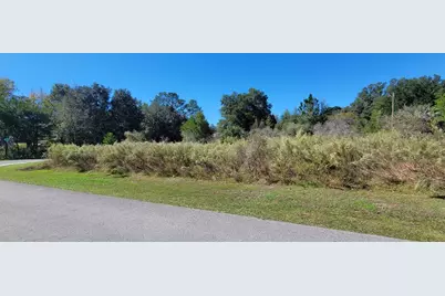 0 SW 82nd Place, Dunnellon, FL 34431 - Photo 3