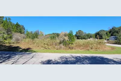 0 SW 82nd Place, Dunnellon, FL 34431 - Photo 5