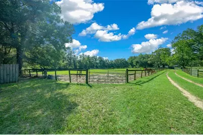 399 NE 155th Place, Citra, FL 32113 - Photo 5