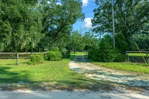 399 NE 155 Pl, Citra, FL 32113 - Photo 45