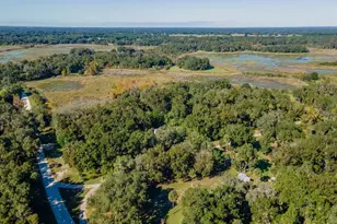 15429 NE 38th Ct, Citra, FL 32113 - Photo 49