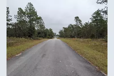 Lot 13 NW Geranium Avenue, Dunnellon, FL 34431 - Photo 3