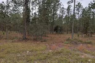 Lot 13 NW Geranium Ave, Dunnellon, FL 34431 - Photo 1