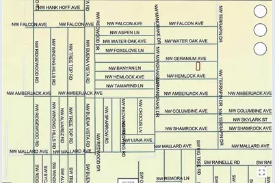 Lot 13 NW Geranium Avenue, Dunnellon, FL 34431 - Photo 7