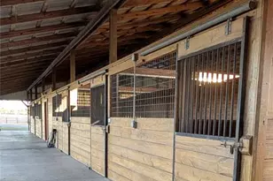 18800 SE 47 Pl, Morriston, FL 32668 - Photo 7