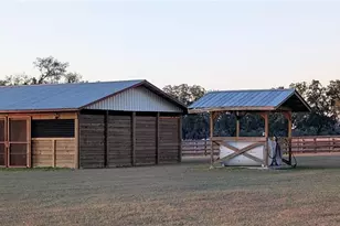 18800 SE 47 Pl, Morriston, FL 32668 - Photo 13