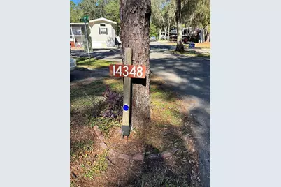 14348 NE 252nd Court Road, Fort Mc Coy, FL 32134 - Photo 45