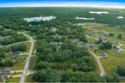 252 Malauka Road, Ocklawaha, FL 32179 - Photo 67