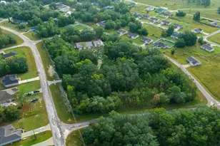 252 Malauka Rd, Ocklawaha, FL 32179 - Photo 71