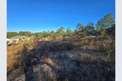 9388 N Old Mill Way, Citrus Springs, FL 34433 - Photo 5