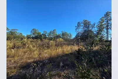 9388 N Old Mill Way, Citrus Springs, FL 34433 - Photo 7