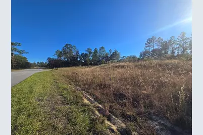 9388 N Old Mill Way, Citrus Springs, FL 34433 - Photo 9