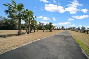 2198 W Hwy 329, Citra, FL 32113 - Photo 5