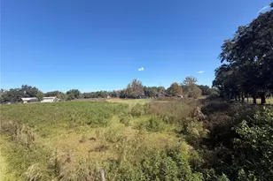 Tbd NE 25th Ave, Anthony, FL 32617 - Photo 1